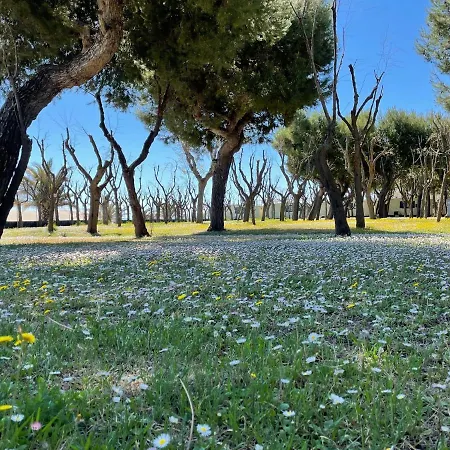 Vakantiehuis Mobile In With Private Garden Cupra Marittima